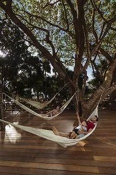 Occidental Grand Xcaret All Inclusive Hotel Los Dos Compadres Resort